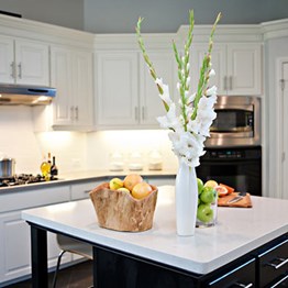 Caesarstone Countertops 2